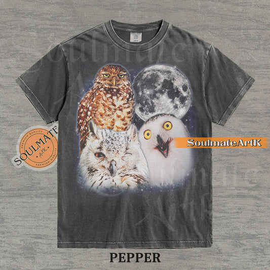 Detailed nature graphic of three different owls next to a large full moon in a starry night sky on a washed pepper t-shirt.