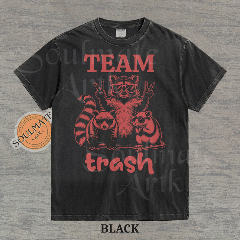 Illustration of a raccoon and two opossums wearing sunglasses with the text "TEAM trash" in red on a washed black shirt.