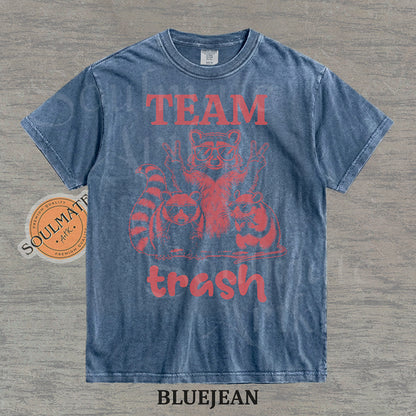 Illustration of a raccoon and two opossums wearing sunglasses with the text "TEAM trash" in red on a washed bluejean shirt.