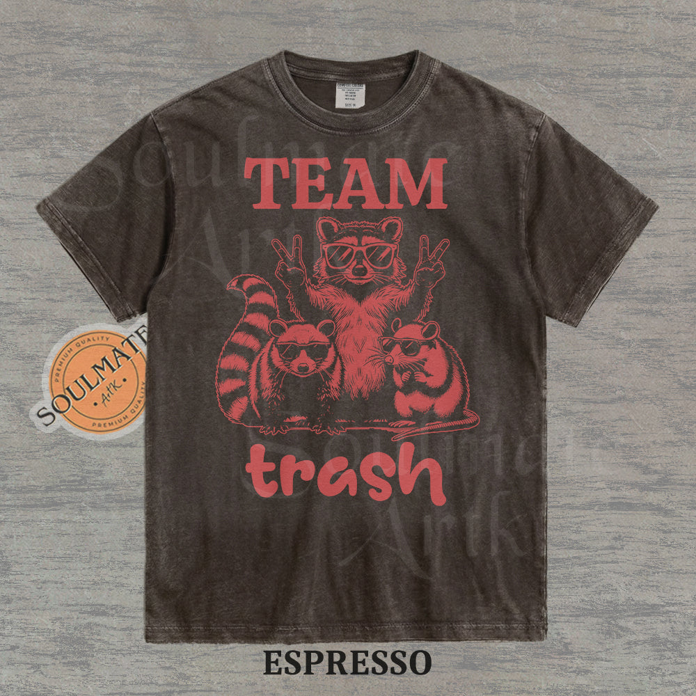 Illustration of a raccoon and two opossums wearing sunglasses with the text "TEAM trash" in red on a washed espresso shirt.