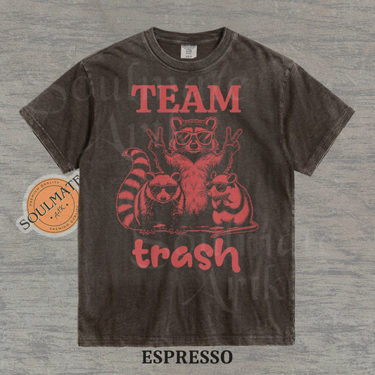 Illustration of a raccoon and two opossums wearing sunglasses with the text "TEAM trash" in red on a washed espresso shirt.