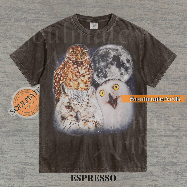 Detailed nature graphic of three different owls next to a large full moon in a starry night sky on a washed espresso t-shirt.